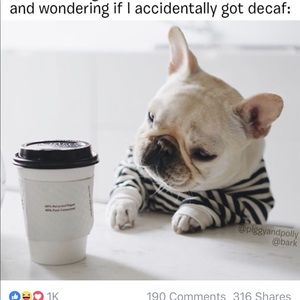 Meet your Posher, Kathy